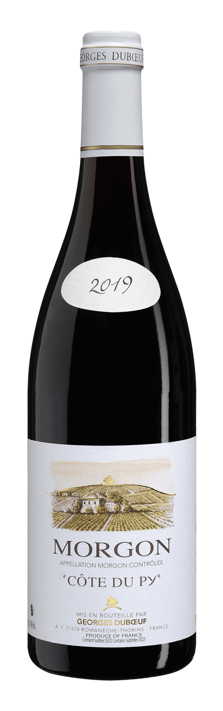 Morgon 2019 Cote Du Py