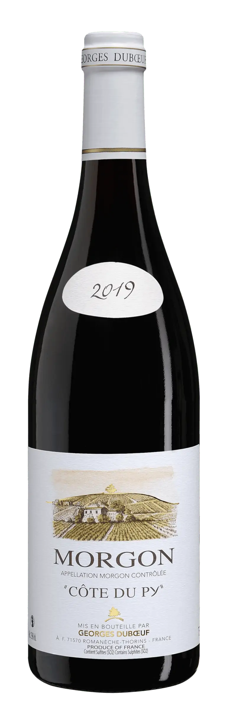 Morgon 2019 Cote Du Py