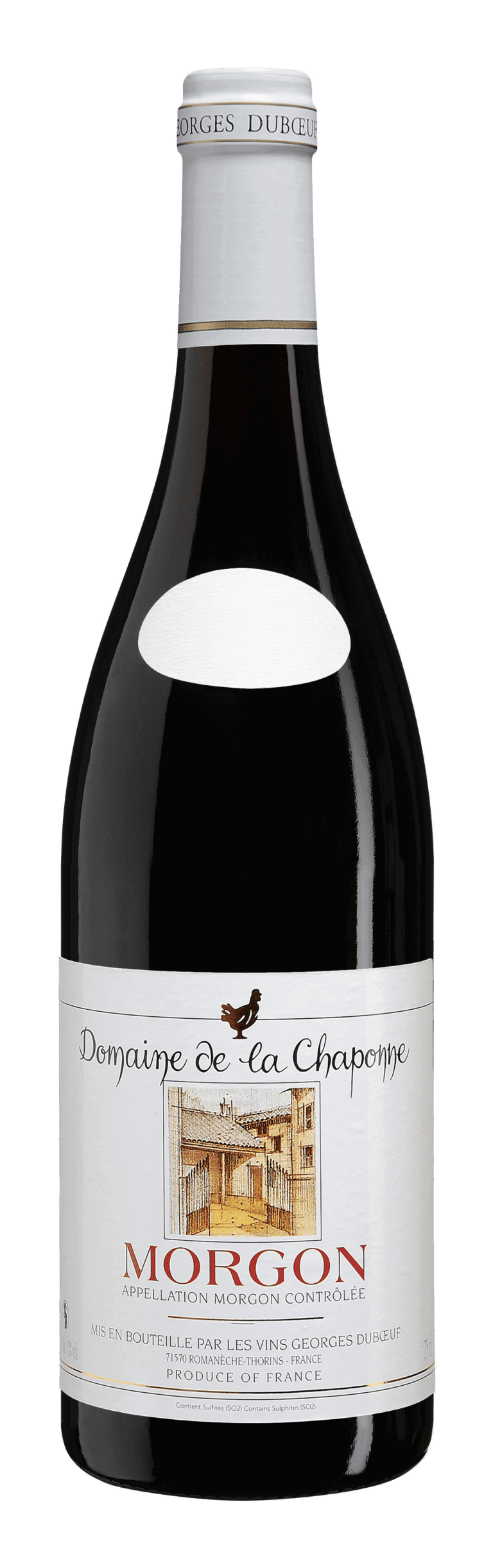 Morgon Domaine De La Chaponne