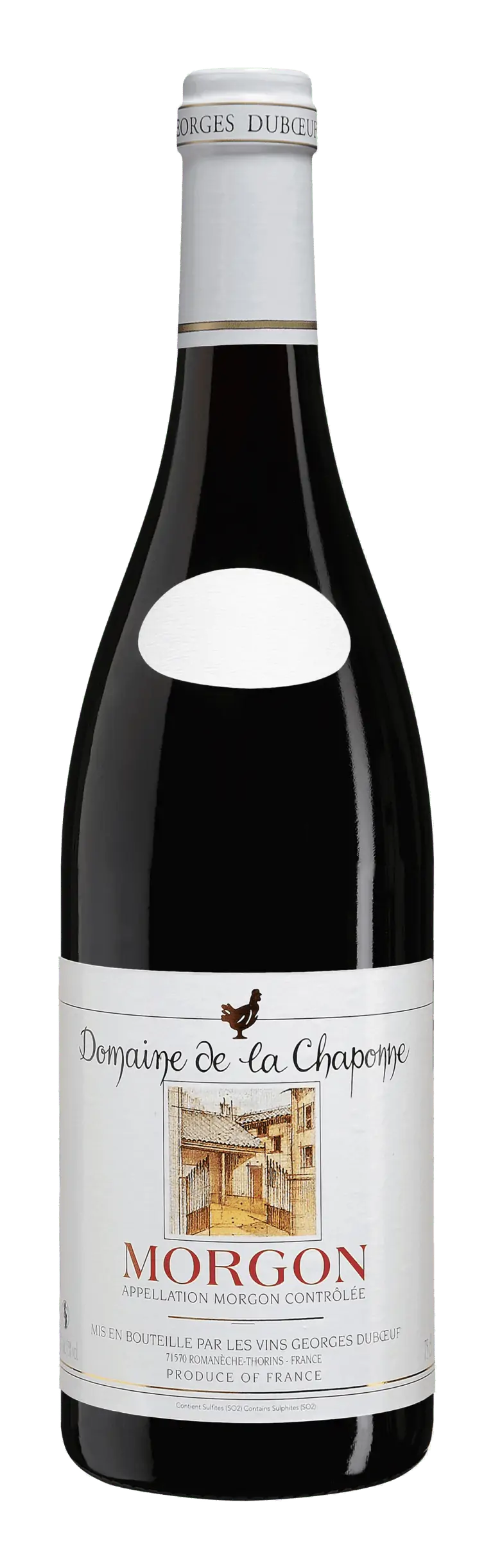 Morgon Domaine De La Chaponne