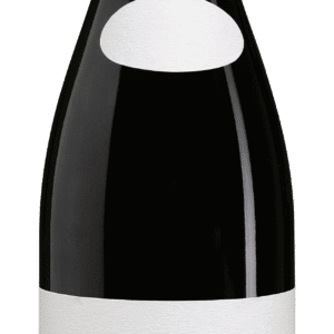 Morgon Domaine De Javerniere