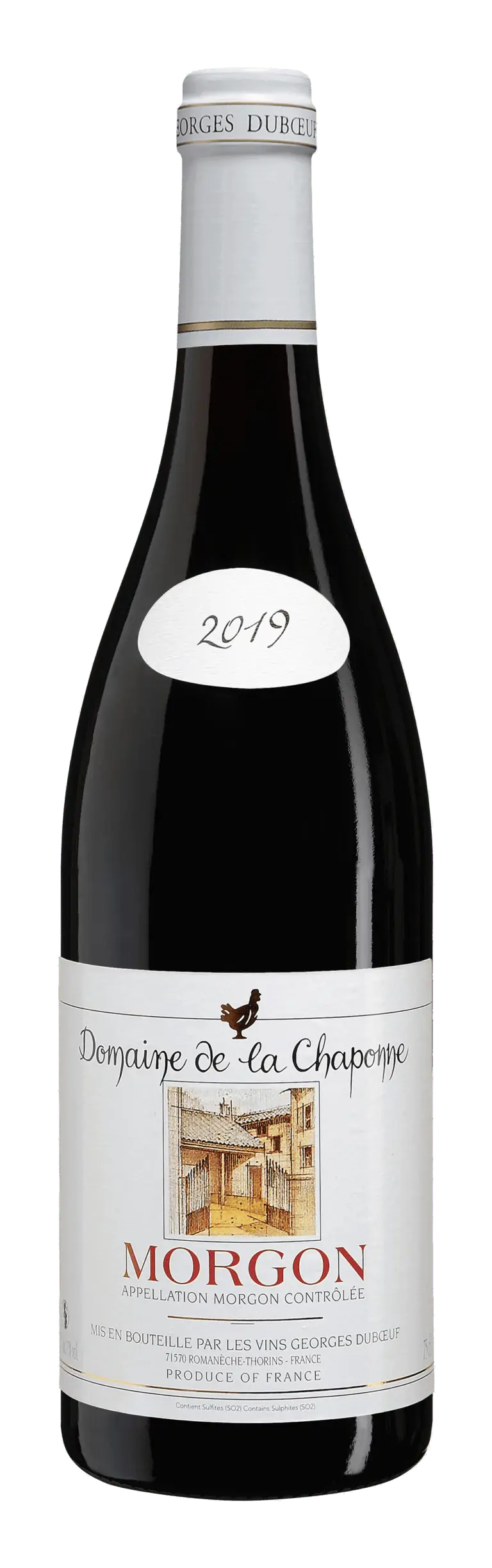 Morgon 2019 Dom. De La Chaponne