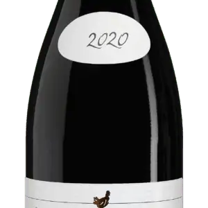 Morgon 2020 Domaine De La Chaponne
