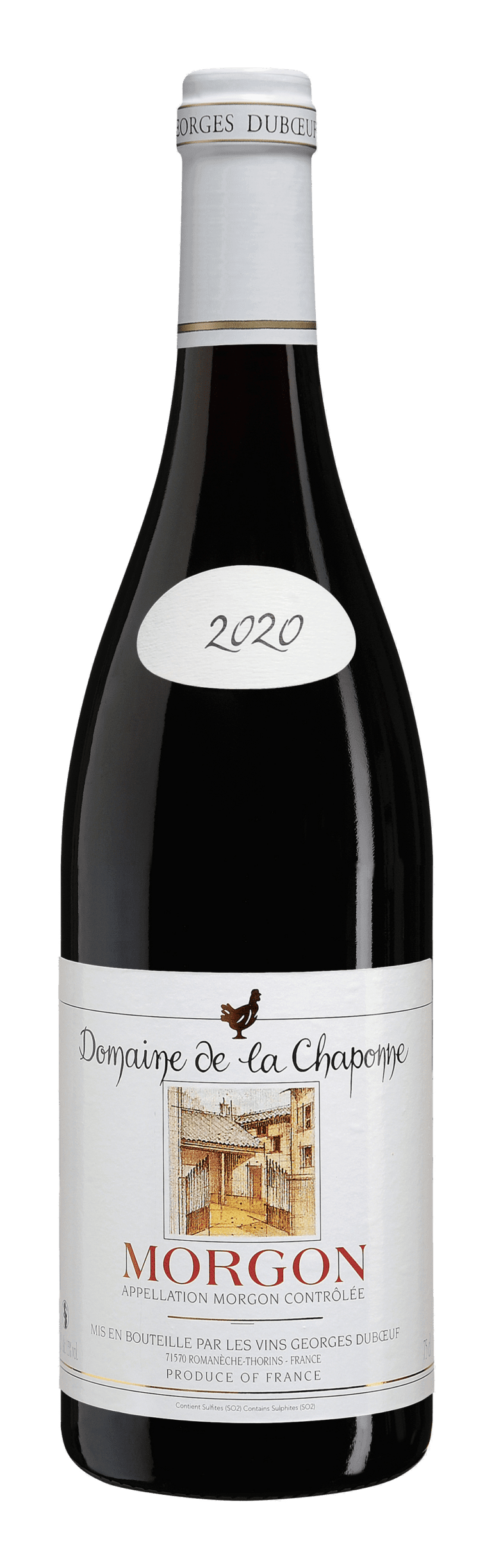 Morgon 2020 Domaine De La Chaponne