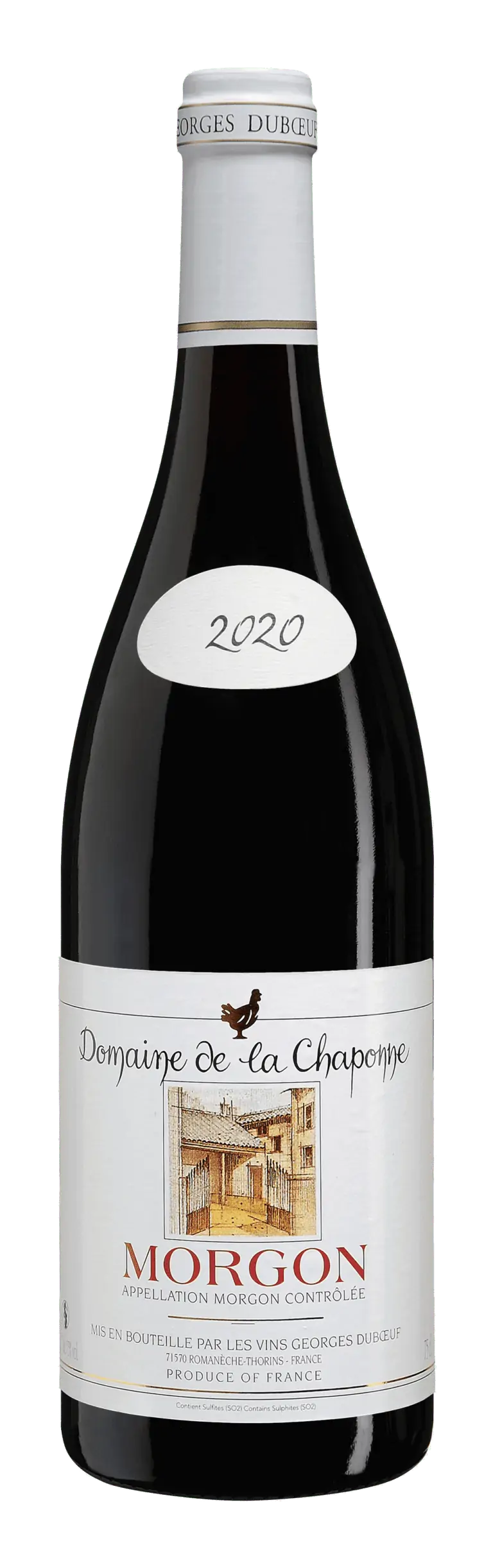 Morgon 2020 Domaine De La Chaponne