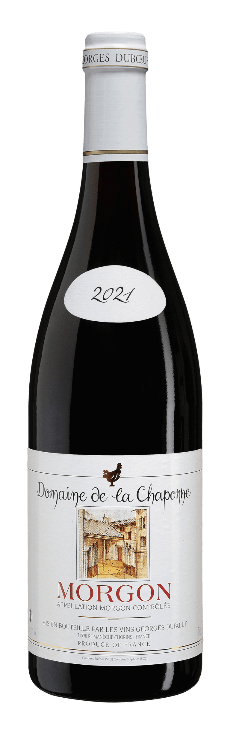 Morgon 2021 Domaine De La Chaponne