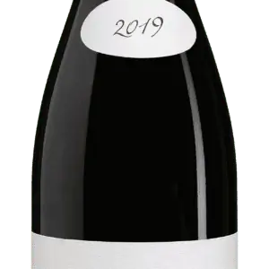 Morgon 2019 Domaine Javernière