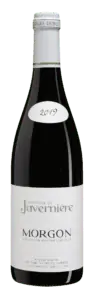 Morgon 2019 Domaine Javernière