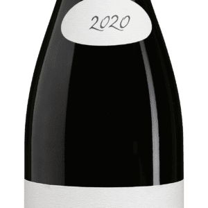 Morgon 2020 Domaine Javernière