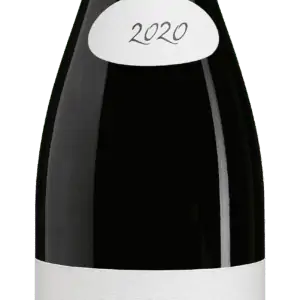 Morgon 2020 Domaine Javernière