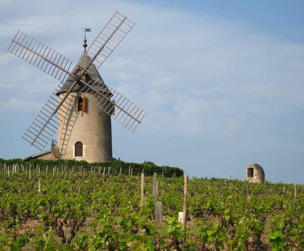 The Moulin in Vent à Romanèche-Thorins