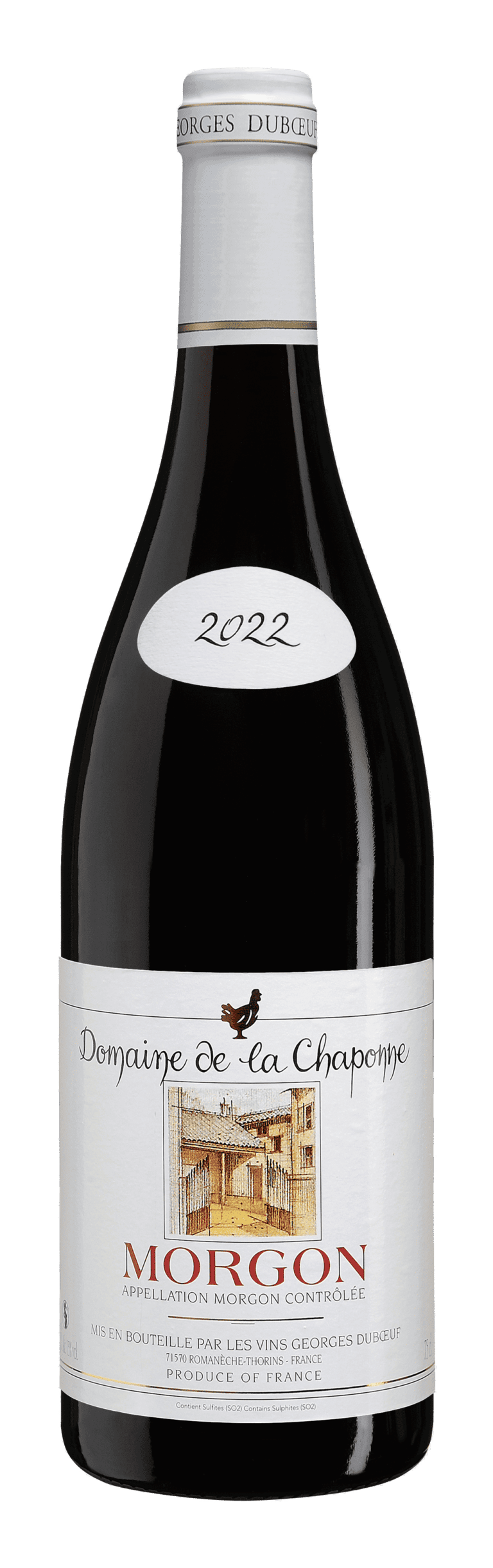 Morgon 2022 Domaine de la Chaponne