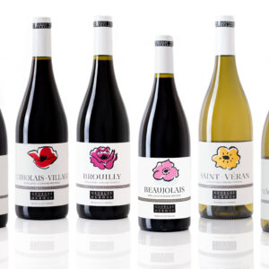 Colis Printemps 2026 2024 Vins Biologiques  6 Bouteilles